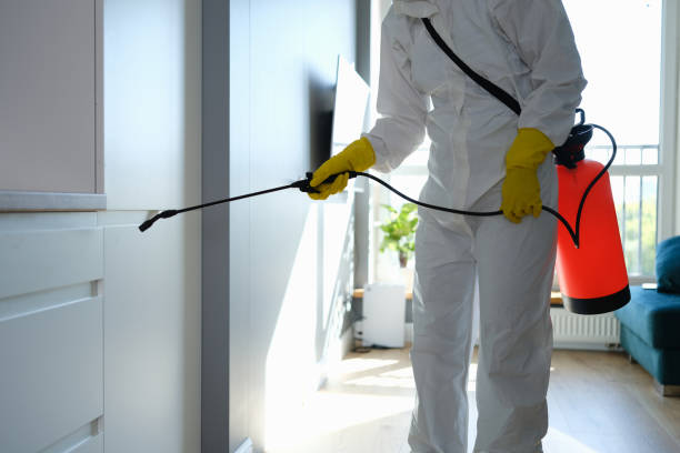 Mold Removal and Inspection in Byram, CT