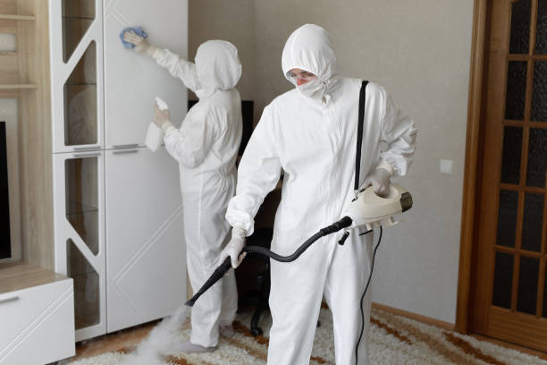 Mold Removal and Inspection in Byram, CT