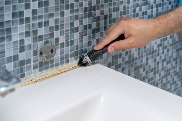 Best Fast Mold Removal  in Byram, CT