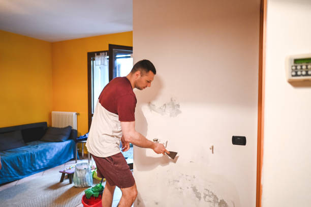Best Mold Testing  in Byram, CT